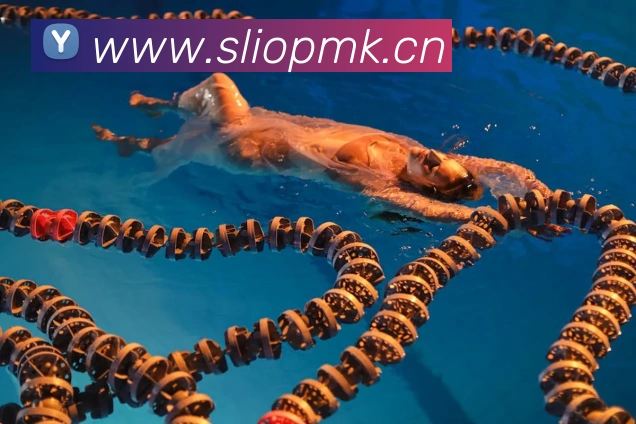 ayx平台官网入口APP 封面图